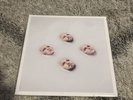KINGS OF LEON WALLS FYE EXCLUSIVE LIMITED EDITION SMOKEY CLEAR VINYL LP NEW