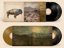 Heartless Bastards - Arrow [New Vinyl LP] Black, Colored Vinyl, Gold, Anniversar