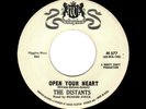 DETROIT DOOWOP-DISTANTS (TEMPTATIONS)-OPEN YOUR HEART/ALL RIGHT-WARWICK 577
