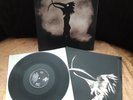 Depeche Mode Walking in my shoes, Vinyl LP Maxi, Rarität, 1993 Mute records Ltd.