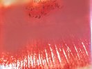 THE CURE - KISS ME, KISS ME, KISS ME - 180-GRAM VINYL 2-LP SET 
