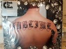 Sublime Self Titled Vinyl 2LP - 2008 - 180-gram - Back To Black - New