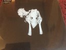 Sigur Rós - Kveikur / ltd. deluxe Double LP incl. CD and exclusive Bonus 10