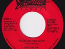 SHO-NUFF Hold On For Love RARE modern soul 45 synth boogie disco funk LISTEN