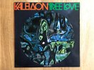 1973 KALEIDON 
