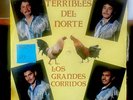 LOS TERRIBLES DEL NORTE LP / LOS GRANDES CORRIDOS / vinyl record 33rpm Freddie
