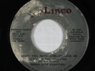 Funk 45 - Inner City Funktion - Don't You Need Someone Like Me - Linco - mp3