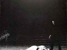 Miss Kittin & The Hacker / FIRST ALBUM (180G 2LP) / Nobodys Bizzness / NBLP001