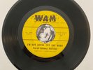 Johnny Holiday I’m Not Gonna Cry Any More My Ship Is Coming In 45 rpm 7 RARE