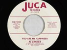 Northern Soul Funk 45 - Al Danner - You Are My Happiness - Juca - mp3