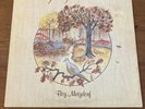 Boz Metzdorf - Signs of the Season private folk ssw psych LP