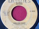 CLARENCE CURVAN _ Caribbean Funk _ FEELING NICE 45 TRINIDAD Breaks 45 7