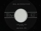 Sweet Soul/Funk 45 - Ash Soul, Inc. - I Do Love You - Soul Ash - VG++ mp3 rare