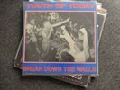 OG YOUTH OF TODAY BREAK DOWN THE WALLS LP BLACK VINYL NYHC JUDGE LOCKIN OUT HXC