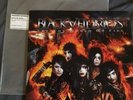 Black Veil Brides Set The World On Fire Vinyl Record