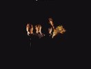 The Prisoners - Wisermiserdemelza 180gm transparent orange vinyl. [New Vinyl LP]