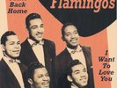 The Flamingos 