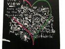 The View - Hats Off The The Buskers *Rare* RSD