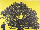 `JOHNSON,JACK` IN BETWEEN DREAMS VINYL LP NEW