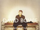 BOWIE, David - The Buddha Of Suburbia (remastered) - Vinyl (2xLP)