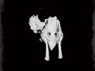 Sigur Rós - Kveikur (2xLP, Album, Gat)