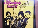 The Exploding Hearts - Shattered Vinyl LP Compilation (Green Noise, 2007) NM