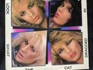 POISON Look What The Cat Dragged In CAPITOL LP VG+ Metal Glam DJ VINTAGE VINYL