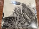 Voices Of The Loon National Audubon Society (Vinyl LP, 1980) - New Sealed