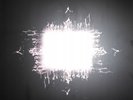 Tool Aenima vinyl