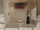 Harry's House Sea Glass Houses by Harry Styles (Vinyl, 2022, Erskine Records)