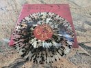 The Fall Of Troy ‎– Doppelganger Limited Vinyl Colored OG & Signed