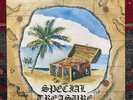 SPECIAL TREASURE LP I Have A Friend SUPER RARE XIAN Psych Folk Rock VG+ FAVOUR