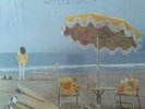 Neil Young On The Beach, Vinyl