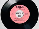 Superb TN Backwoods Hillbilly Gospel 45 CUMBERLAND CRUSADERS on BREEZE rare hear
