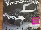 Dinosaur Jr. Beyond 2007 Press with bonus 7