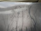 Blackwater Park [20th Anniversary Edition] by Opeth (Record, 2021)