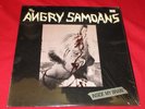 ANGRY SAMOANS Inside My Brain EP (1980) original in shrink PUNK/HC