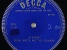 Terry White & The Terriers 