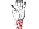 Converge You Fail Me (Vinyl) Redux  12