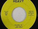 Link Wray 