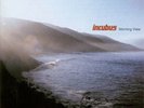 Incubus – Morning View - 2 LP Vinyl Records 12