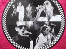 The Selecter  Access All Areas Picture Disc,  new mint . Madness  the specials,