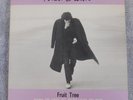 Nick Drake  - Fruit Tree -  1986 4LP Box Set w/ book