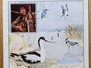 Bert Jansch – Avocet, 1979 Vinyl LP (Charisma – CLASS 6)
