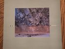 Dif Juz Extractions 4ad Ep