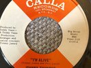Johnny Thunder Im Alive Calla Northern Soul  RnB