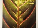 Lifetones- For A Reason- Original 1983 Vinyl LP First Pressing UK Art Rock RARE
