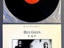 BEE GEES 