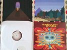 Super Furry Animals Rings Around The World 2001 + 7