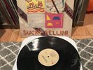 The Dead Milkmen - Bucky Fellini Vinyl LP - Original Enigma Records - Punk